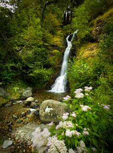Cascade Sidonie