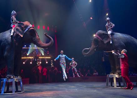 Cirque Arlette Gruss