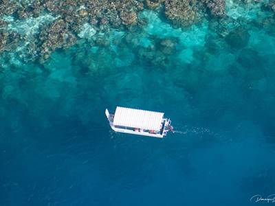 Ouest Corail - Glass bottom boat and snorkeling